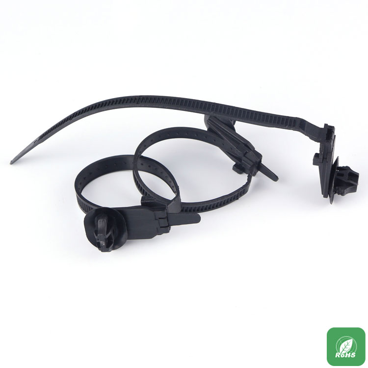 เมานต์ PTCV